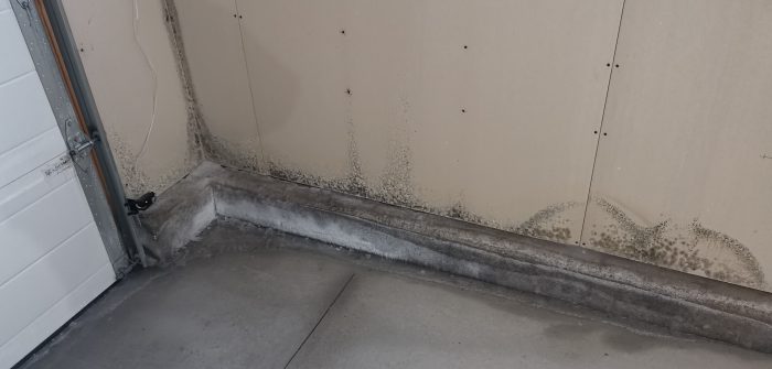 How Mould Grows in Your Garage