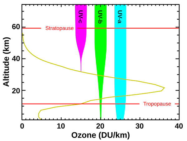 不同波段的紫外线波长被大气吸收的方式不同[图片来自NASA，公共领域]