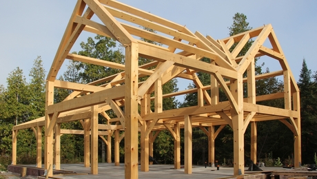 Q&A Spotlight: Timber Frame Wood Choices—What Works, What Doesn’t, and ...
