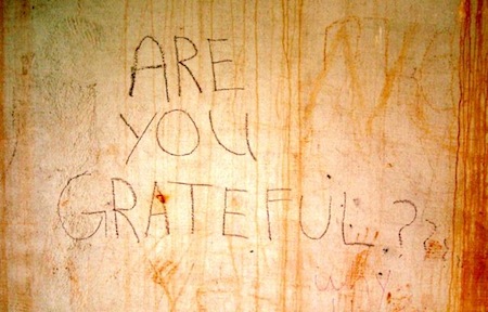 Are you grateful? [Photo by Energy Vanguard]