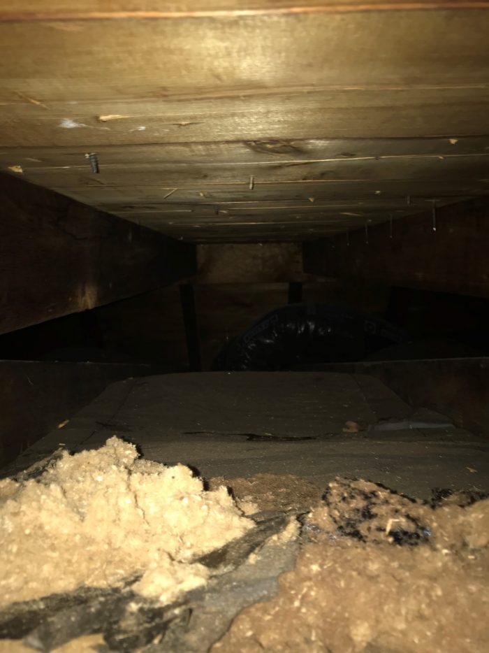 Photo showing very small amount of insulation in attic ceiling