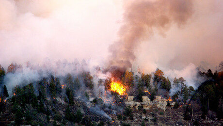 Houses aflame in wildfire