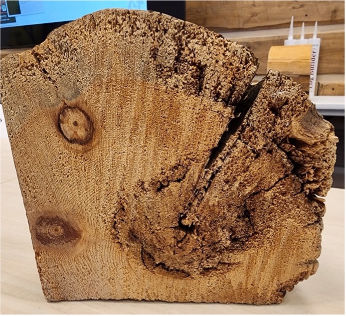 Log home lumber