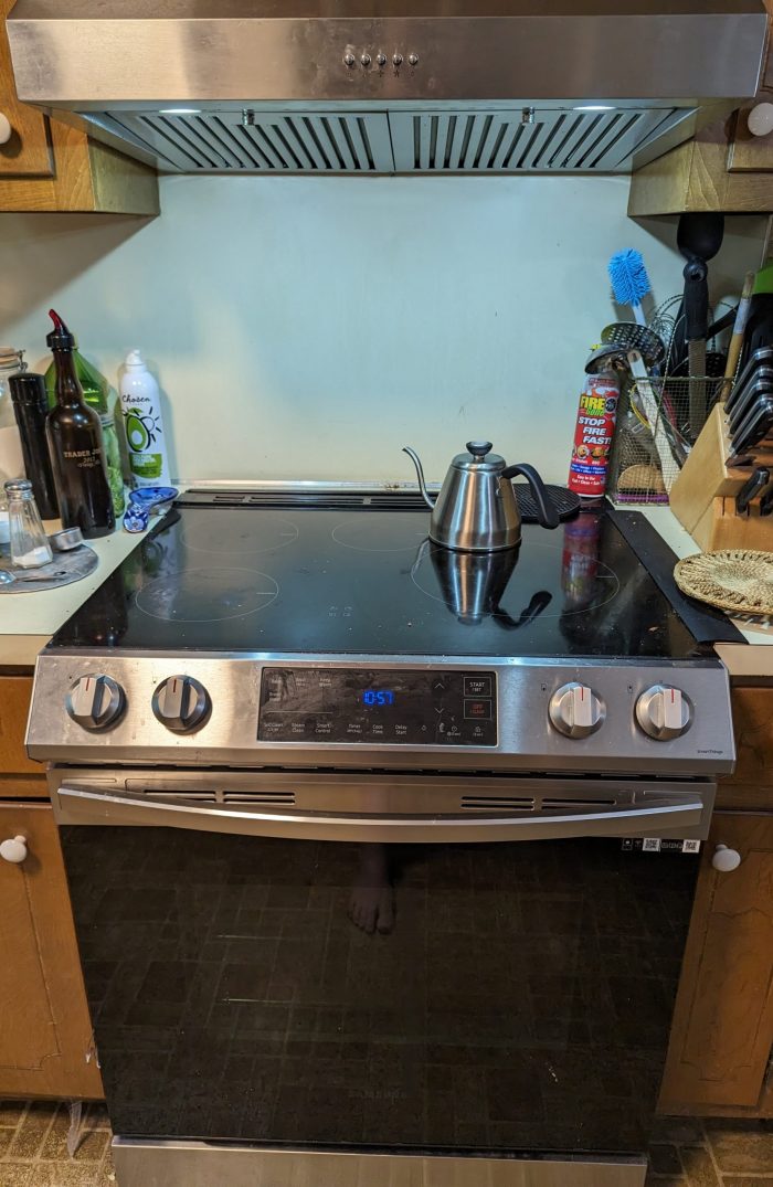 Would you get rid of your gas stove and go electric? 