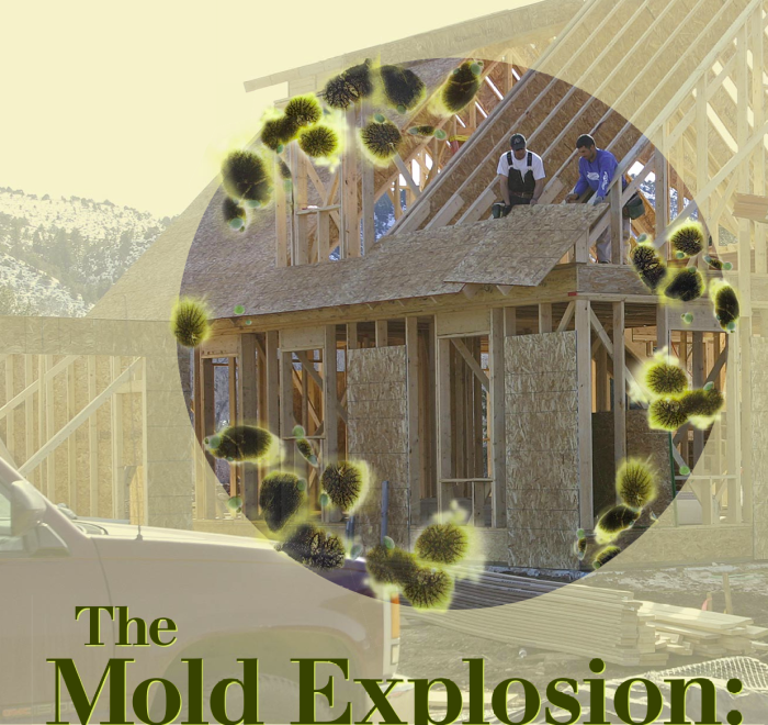 The Mold Explosion - GreenBuildingAdvisor